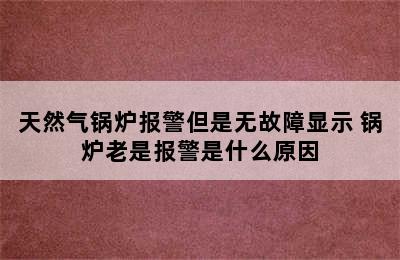 天然气锅炉报警但是无故障显示 锅炉老是报警是什么原因